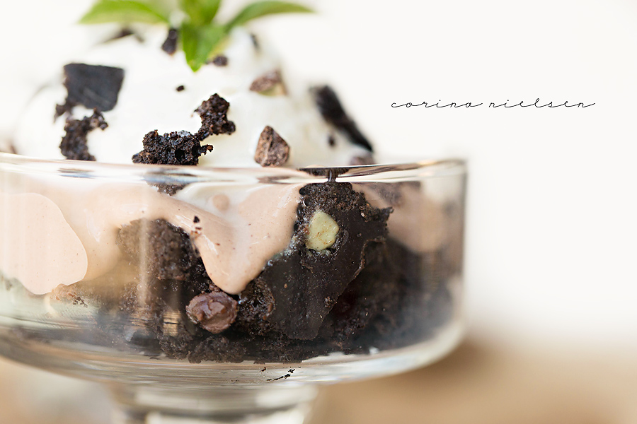 Corina Nielsen- Thin Mint Parfaits-4