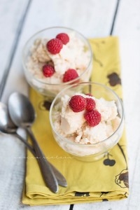 Basic Greek Yogurt Protein Ice Cream/Frozen Yogurt
