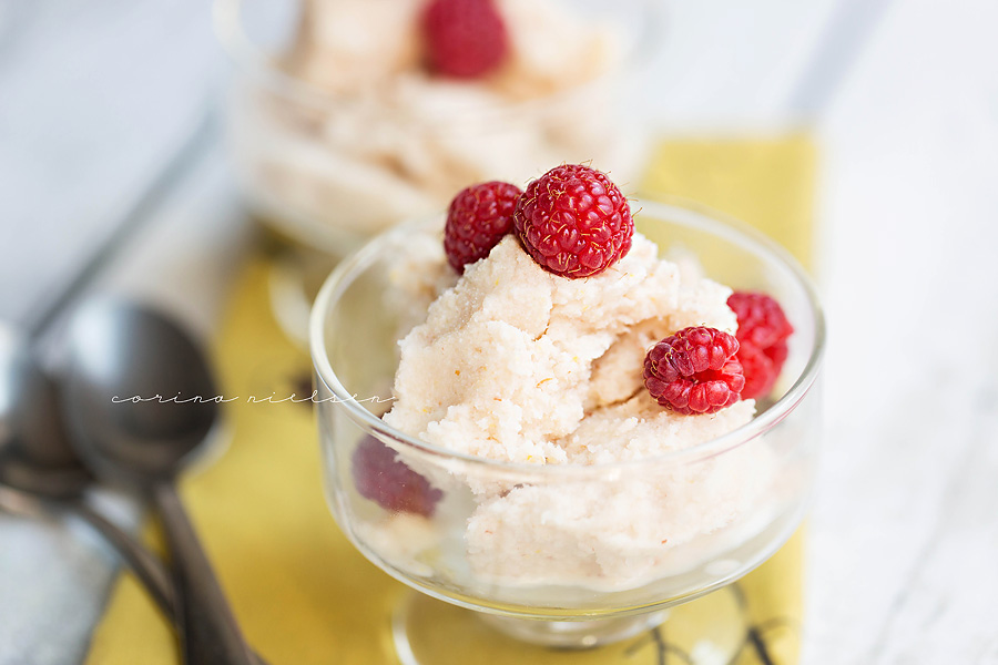 Corina Nielsen- Protein Ice Cream-3