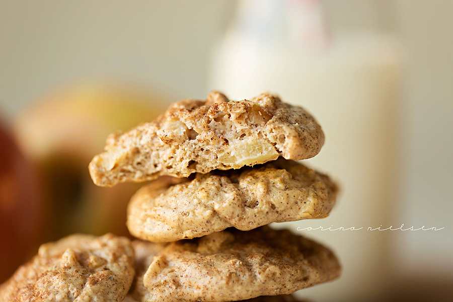 Corina Nielsen- Snickerdoodles-5