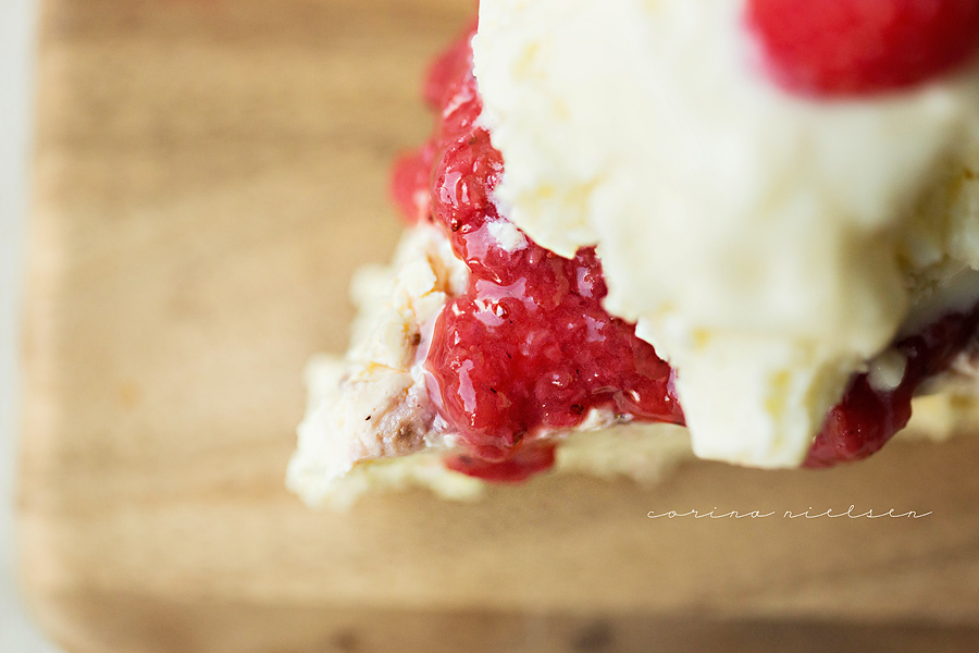 Corina Nielsen- Strawberry Lemonade Cheesecake-8