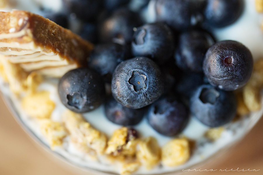 Corina Nielsen- Live Fit- Chia Seed Pudding-6