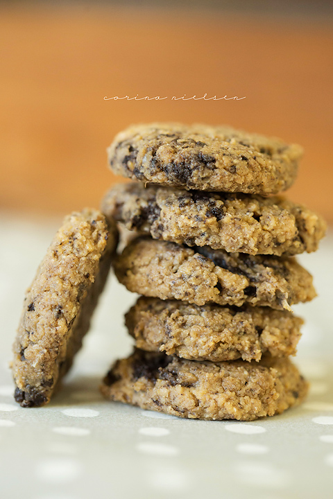 Corina Nielsen- Cookies & Cream Cookies-1