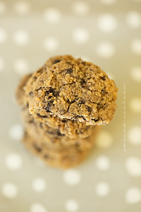 Corina Nielsen- Cookies & Cream Cookies-6
