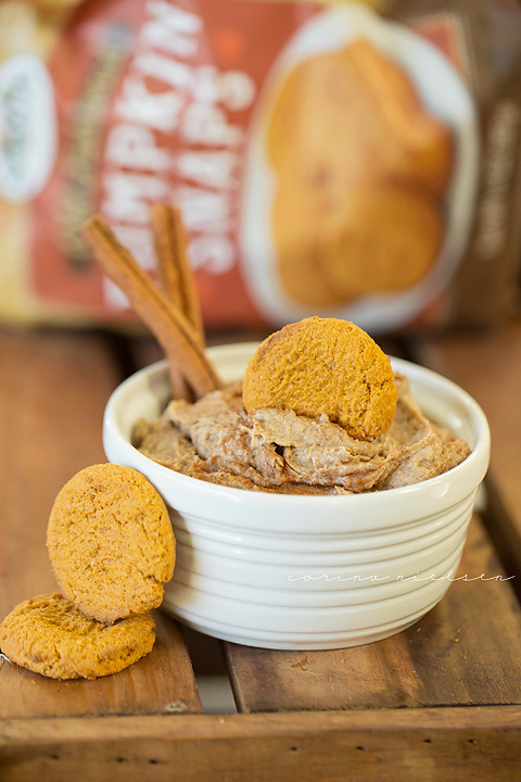 Corina Nielsen- Snickerdoodle Hummus-1