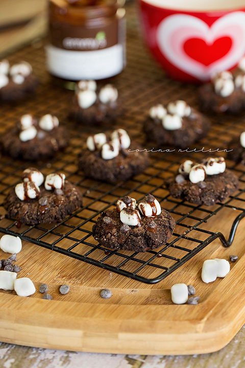 Corina Nielsen- Hot Cocoa Snickerdoodle Cookies-1