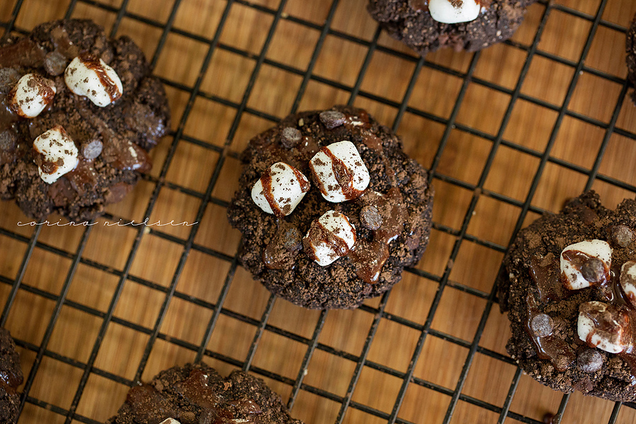 Corina Nielsen- Hot Cocoa Snickerdoodle Cookies-7