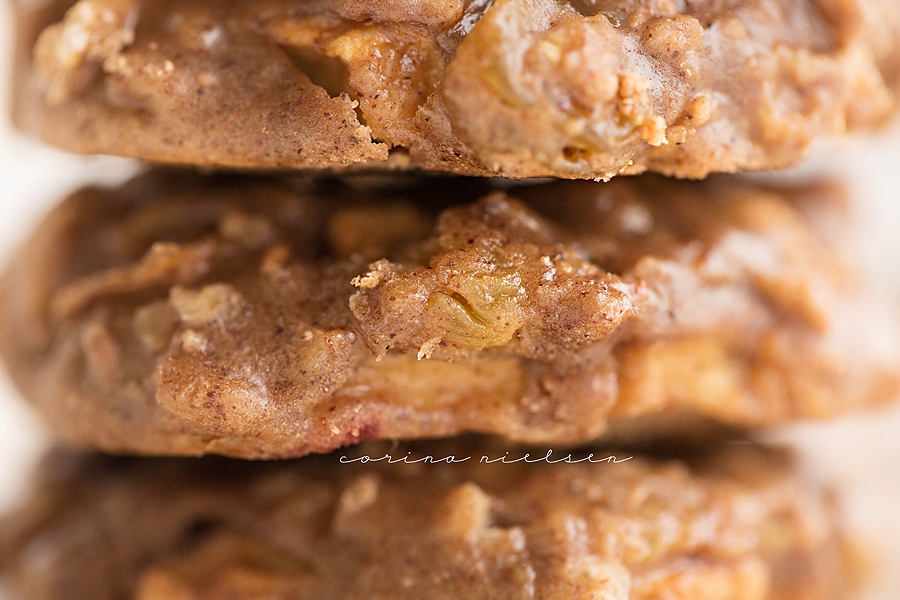 Corina Nielsen- Apple Spice Oatmeal Blondie Cookies-10