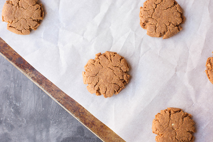 CHOCOLATE DIPPED PEANUT BUTTER COOKIES