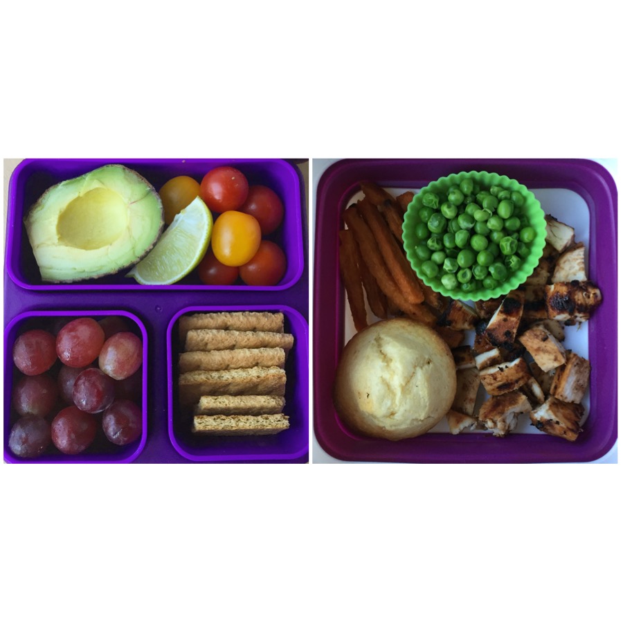 Meal Prep For The 2016-17 School Year - Nourish, Empower