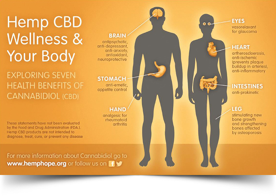 hemp-cbd-wellness-your-body