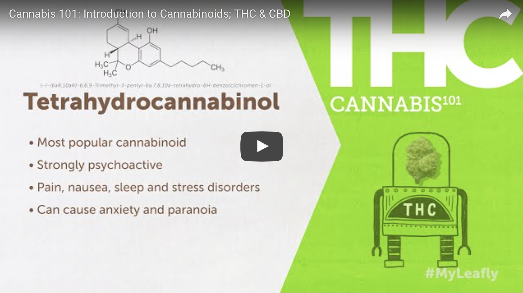 THC & CBD Video