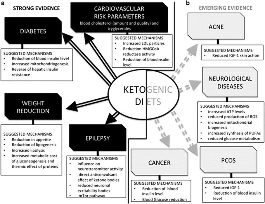 Ketosis